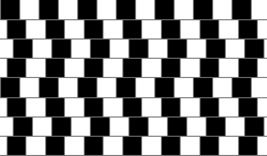 Are the lines below straight or curved