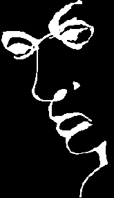 Liar Face