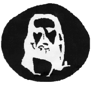 Jesus Optical Illusion